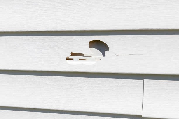 How To Choose The Right Materials for Your Siding Installation in 'Lyles, TN