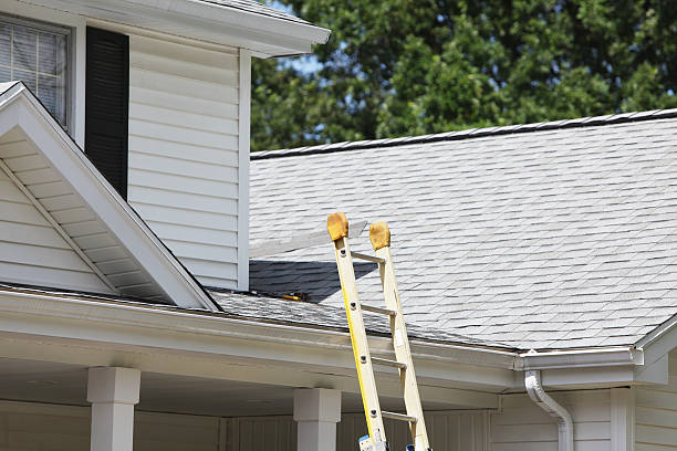 Best Wood Siding Installation  in Lyles, TN